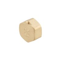 Заглушка Raftec GOLD под пломбу ВВ 3/4'