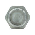 Заглушка Raftec PN40 ЗЗ 1' ZN03