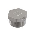 Заглушка Raftec PN40 ЗЗ 1' ZN03