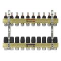 Колектор з витратомірами Raftec GOLD 1 'x10 LCR-1.10
