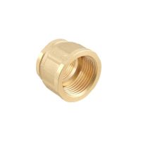 Муфта Raftec GOLD ВВ 1'х 3/4'