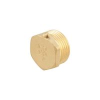 Заглушка Raftec GOLD под пломбу НН 1'