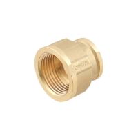 Муфта Raftec GOLD ВВ 1'х 1/2'
