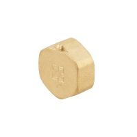 Заглушка Raftec GOLD під пломбу ВВ 1'