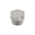Заглушка Raftec PN40 ЗЗ 1/2' ZN01