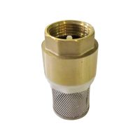 Клапан зворотного ходу з сіткою ЕКО 32 мм 1 1/4 '