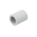 Муфта PPR Raftec 20мм RC20